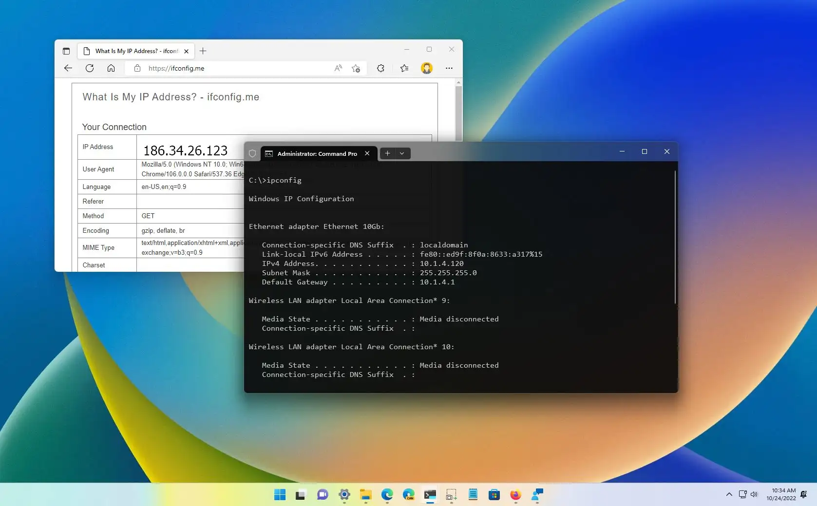 Check Ip Windows