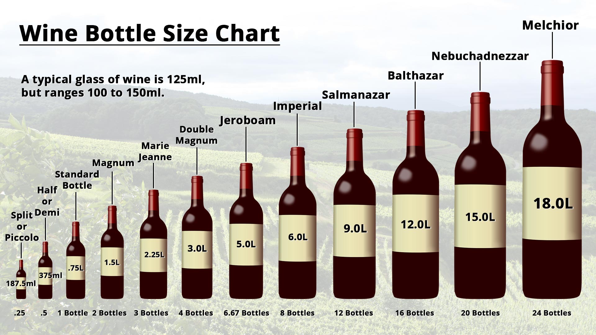 Height of Bottle of Wine