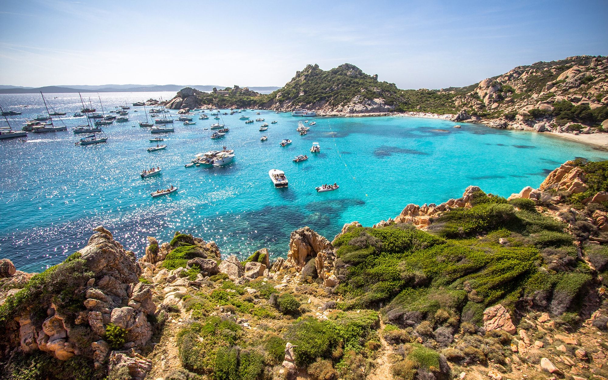 昭和のアイドルから令和の革命児へ――小泉今日子が切り拓いた「スキャンダル」の新しい定義と、2026年の現在地