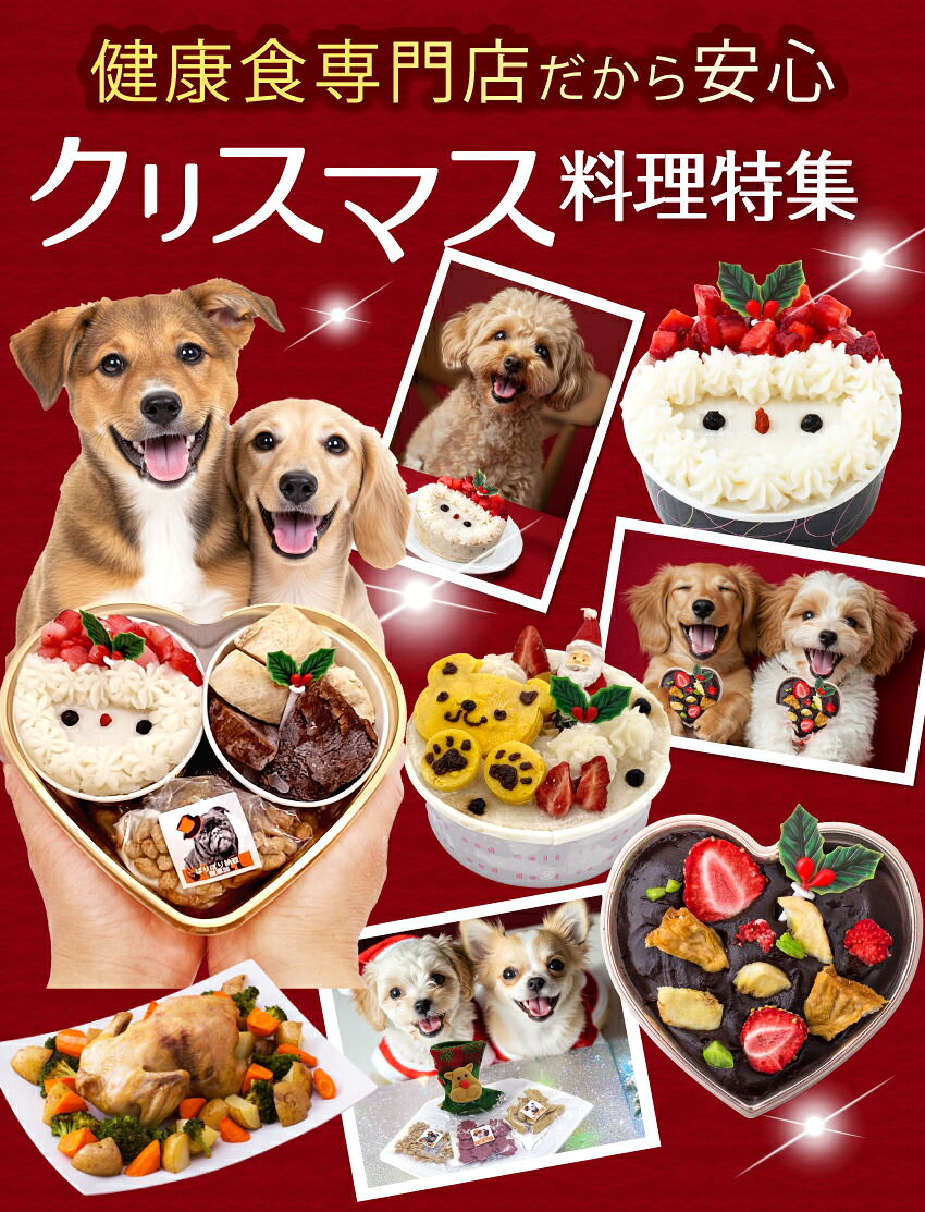 犬のおせち2026決定版！危険食材と選び方・人気おすすめランキング