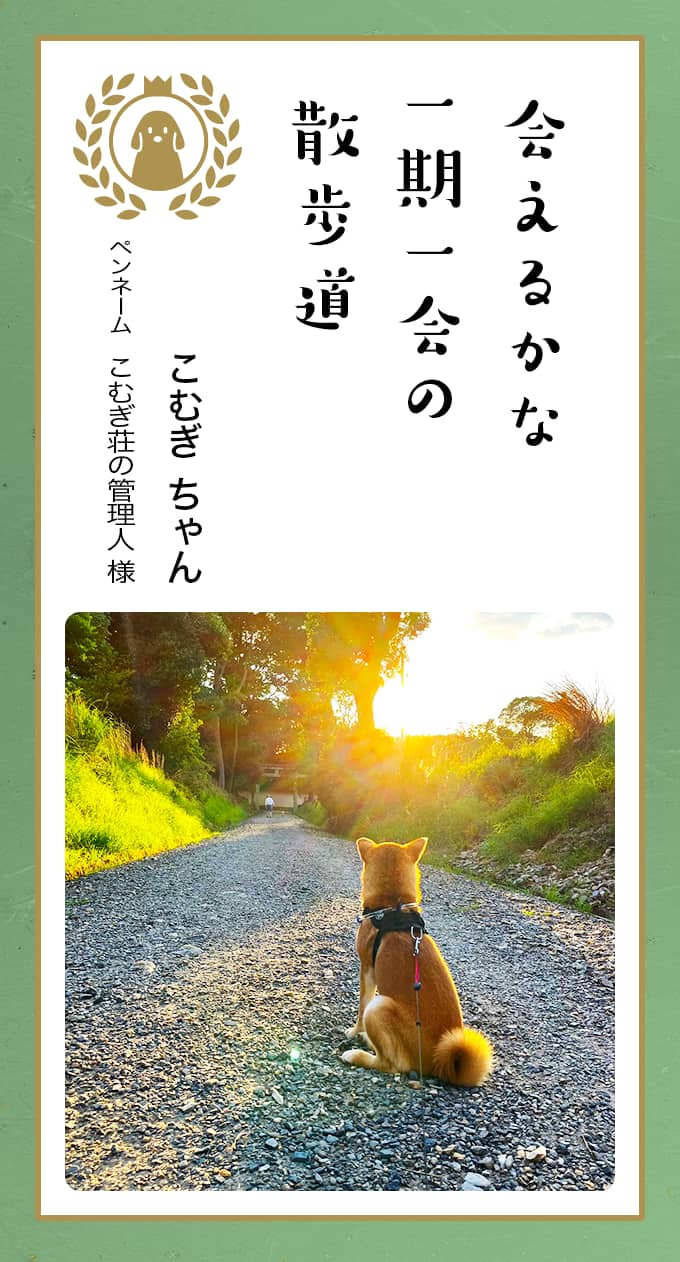 歌詞の行方を見守る避暑地とは何か？元ネタと話題の真相を徹底解明
