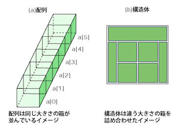 骨密度を上げる新常識！牛乳の真相と2026年最新の科学的改善法
