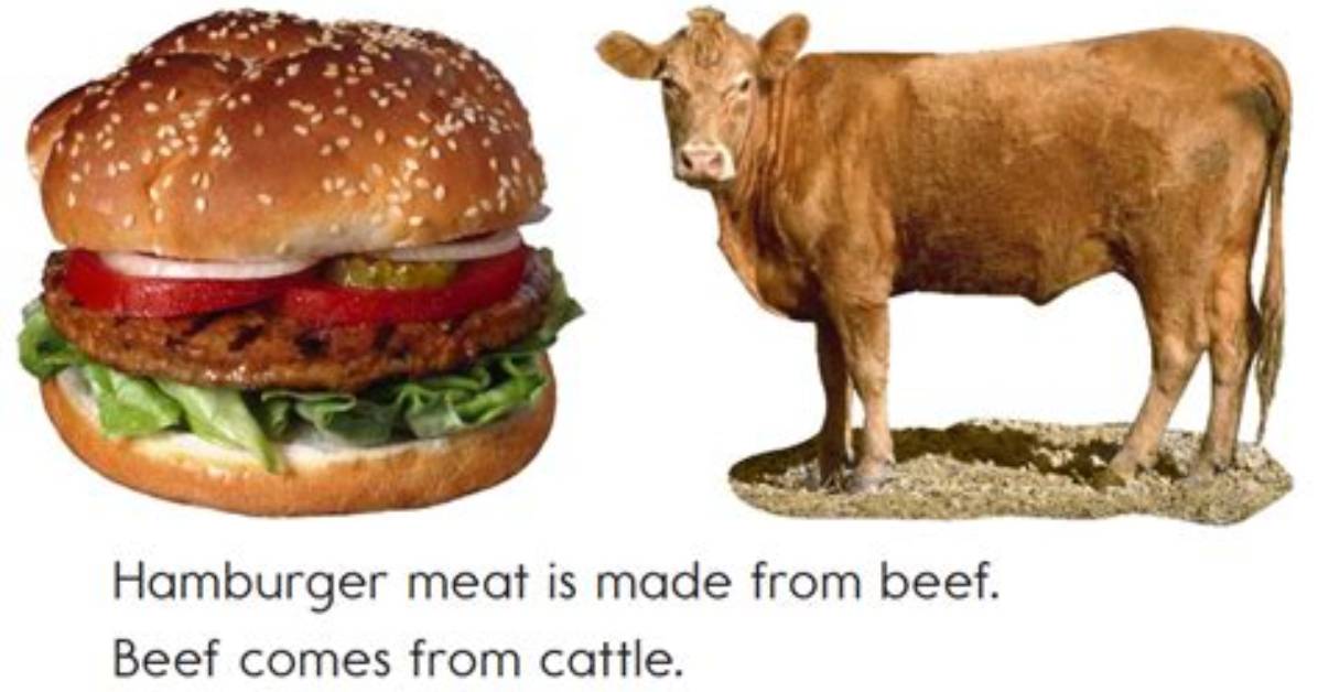 Does Hamburger Come