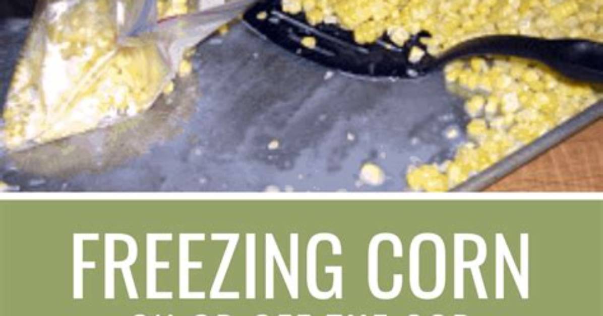 Freezing Corn off The