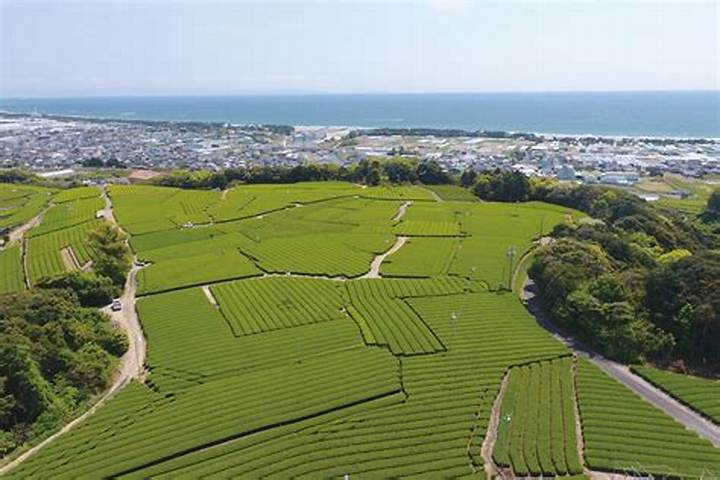 静岡のハッテン場ガイド：知っておくべき基礎知識と注意点