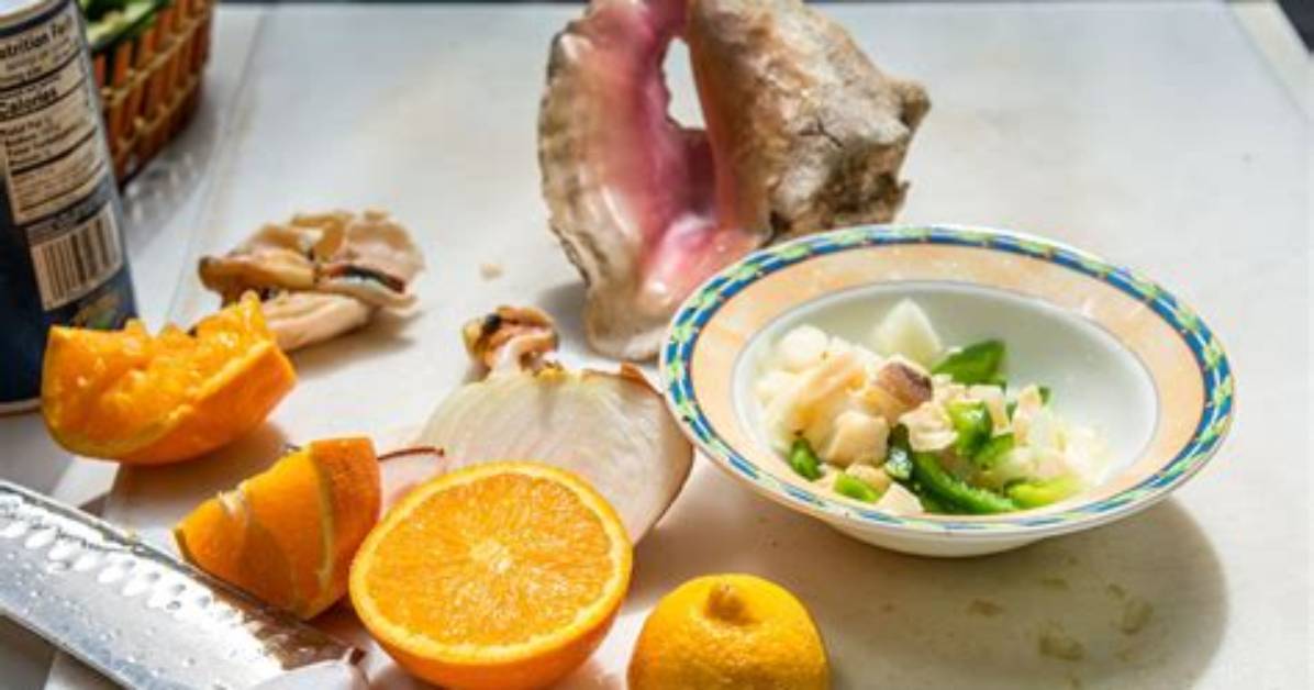 How Are Conch