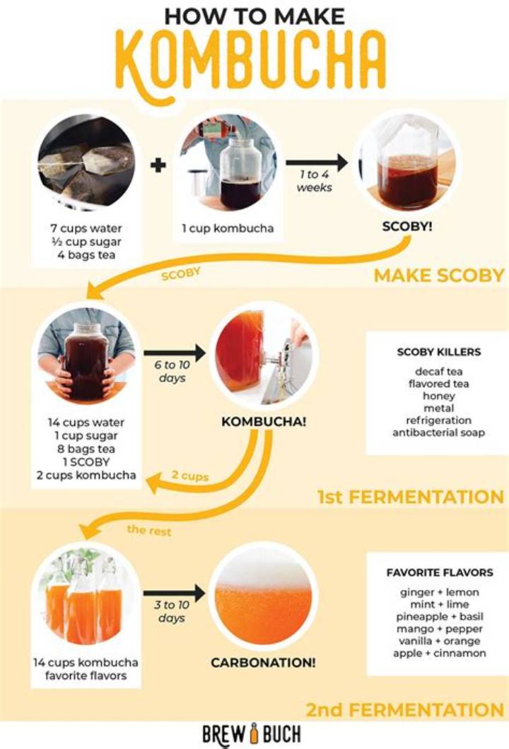 How to Brew Kombucha: a Step-by-Step Guide for Safe, Tasty Ferments