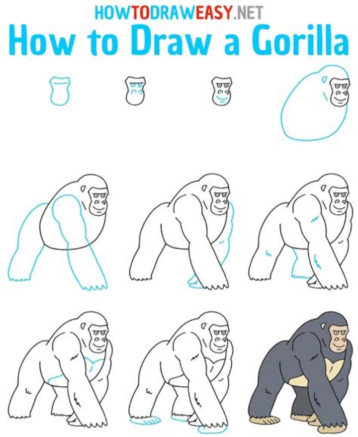 How to Draw a Gorilla: Easy Steps for Realistic Results