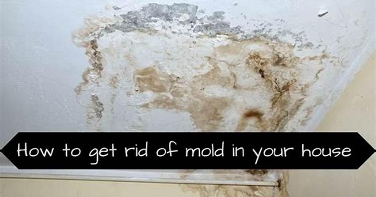 How to Get Rid