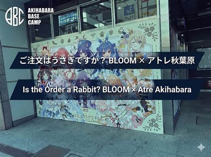 Https: //Www. Adelakun. Org/Akihabara-1/9375926/