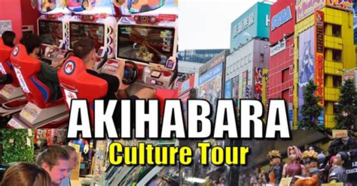 Https: //Www. Adelakun. Org/Akihabara/7249688/