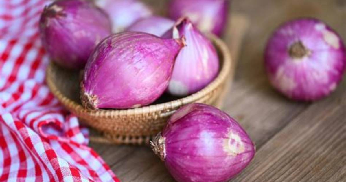 Is a Shallot A
