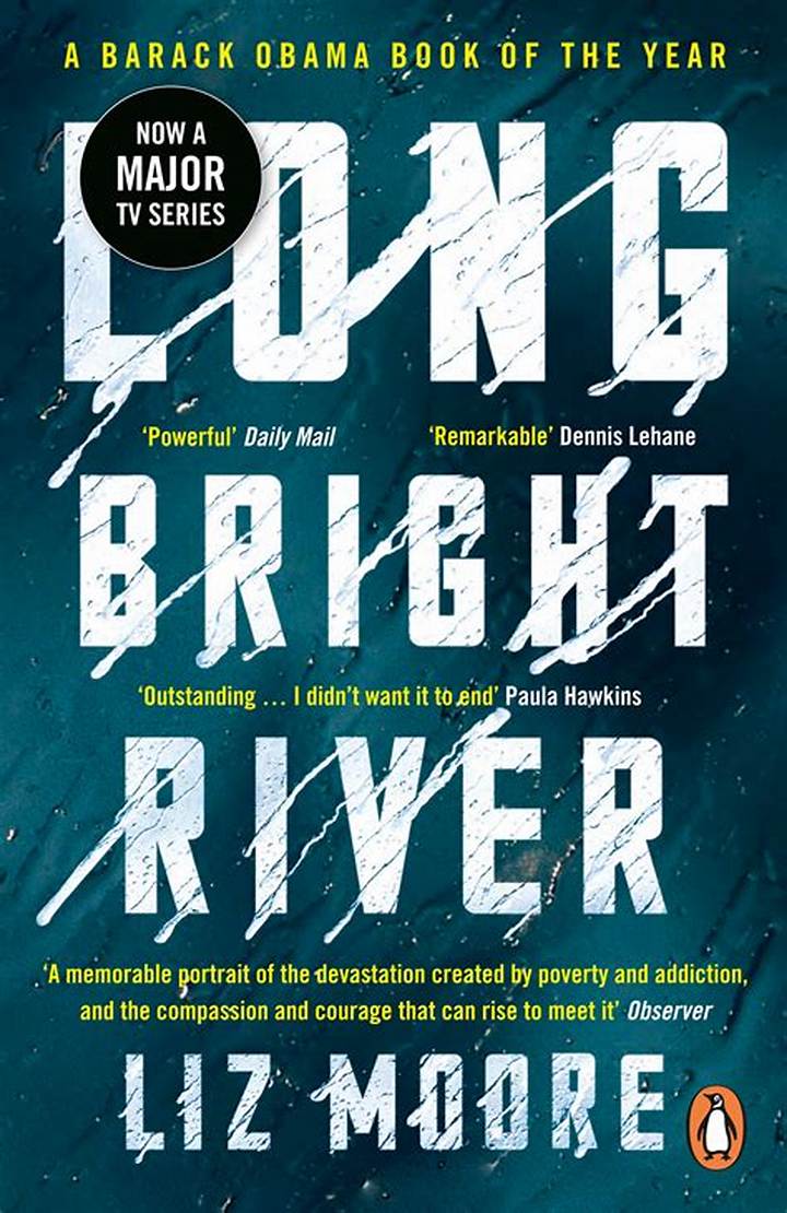 Long Bright River Book: Story, Themes, and What Readers Should Know