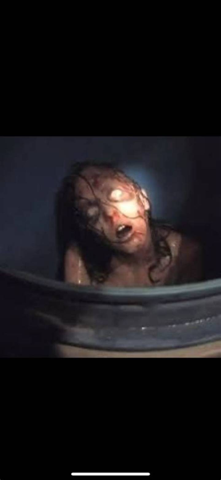 Megan Is Missing: What the “Barrel Scene” Gets Wrong—and Why It Matters