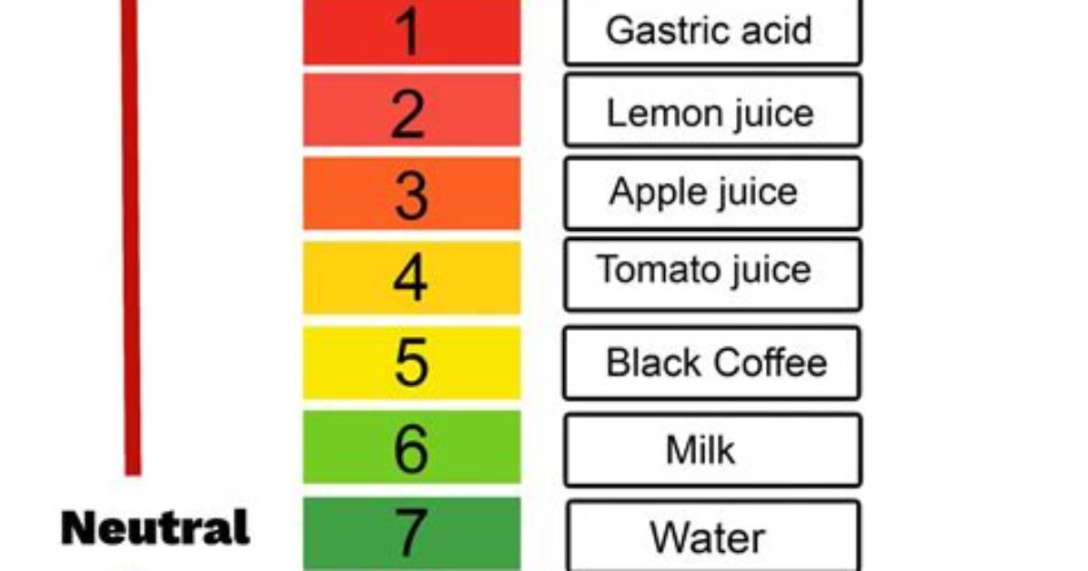 Ph Scale Of