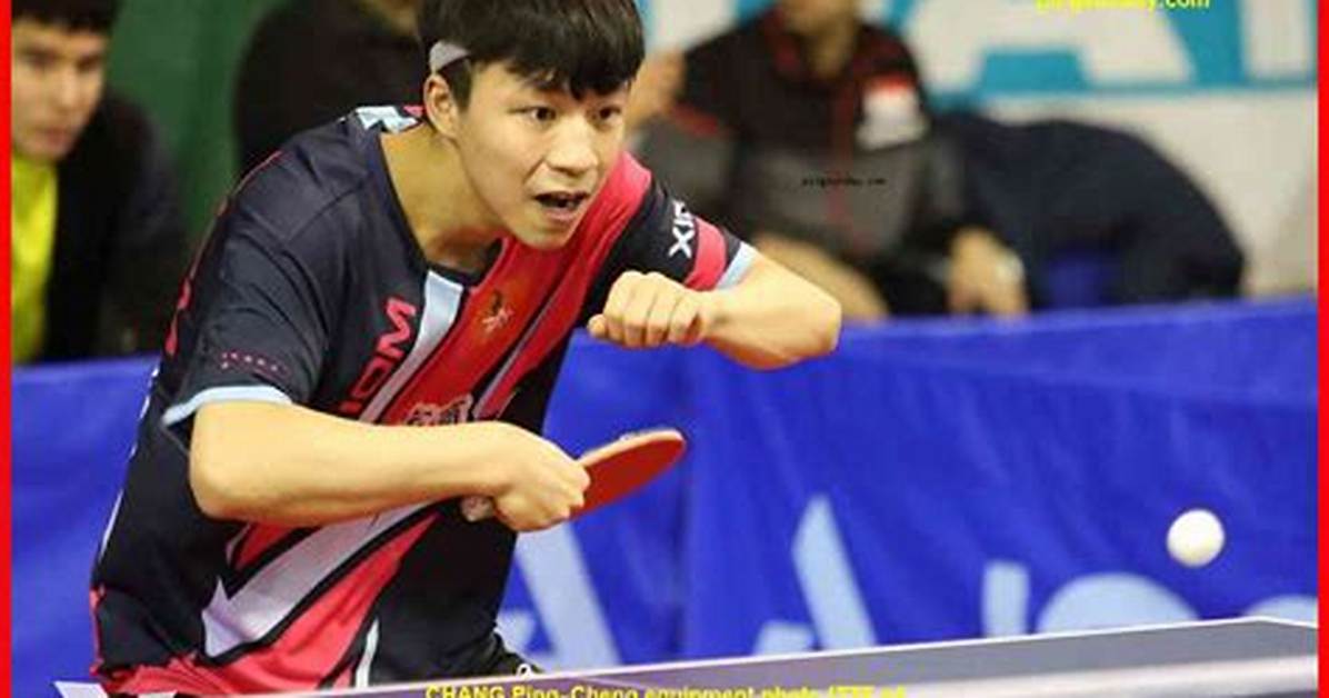 Ping Cheng Chan