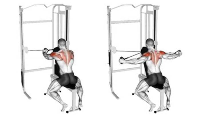 Rear Delt Cable Fly: How to Train Your Back Without Missing the Target