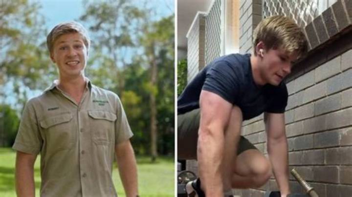 Robert Irwin Car Spider: What It Is, Why People Search It, and What’s True