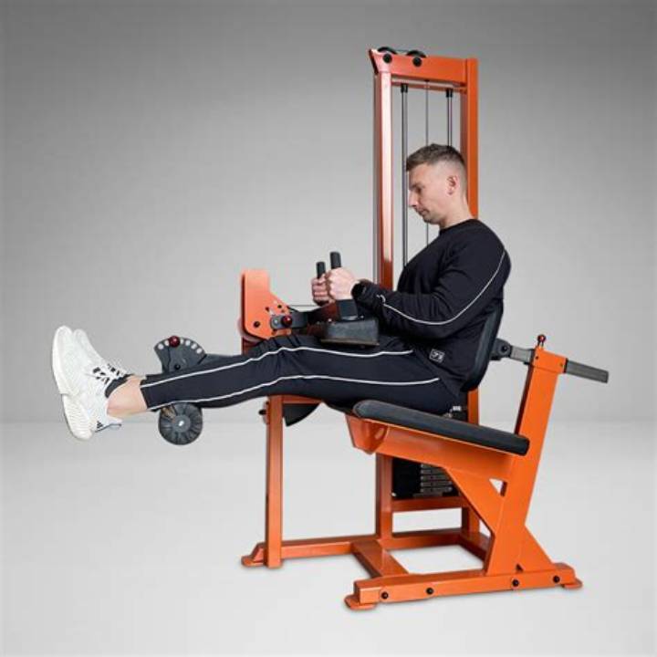 Seated Leg Curl Machine: How to Use It, Benefits, Mistakes, and Alternatives