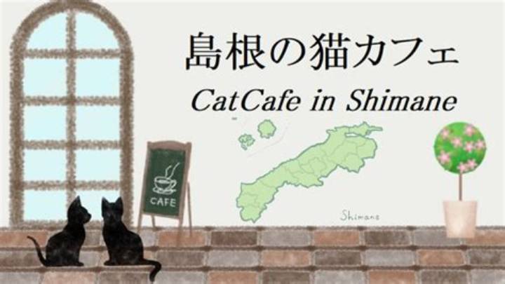島根の猫カフェ最新ガイド！松江で出会う保護猫の癒やしと福祉が紡ぐ温かい物語