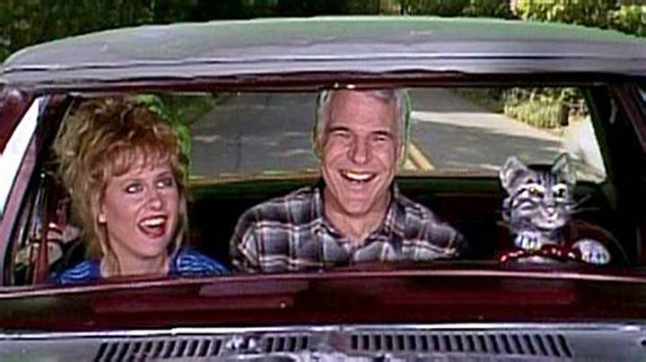 Toonces the Driving Cat: the Real Story Behind a Tv Feline Legend