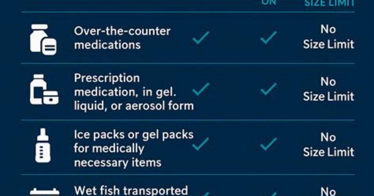 Tsa Permitted Items