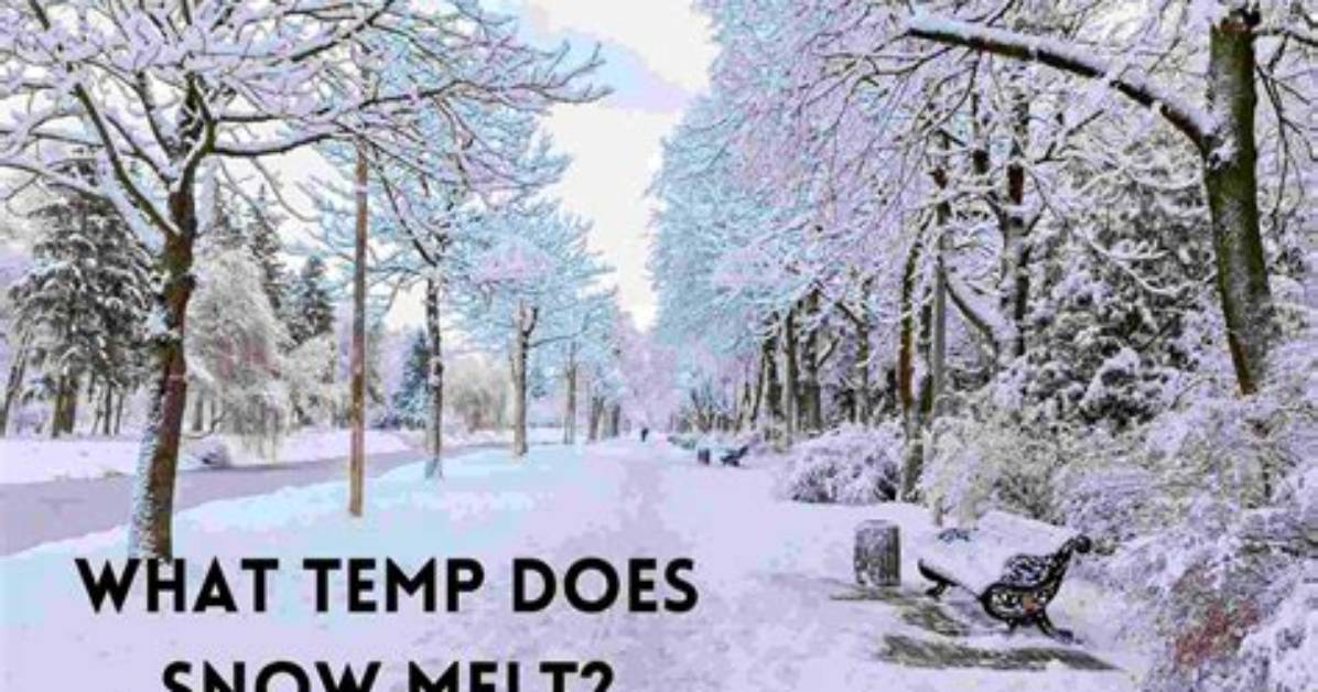 What Temp Does