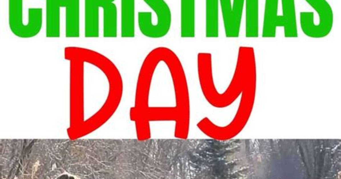 When Do Christmas