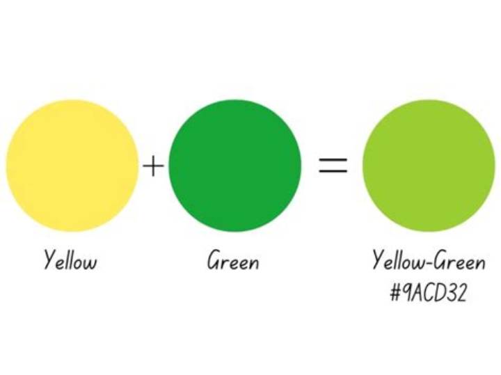 Yellow and Green Make: What Color You Get and How to Use It